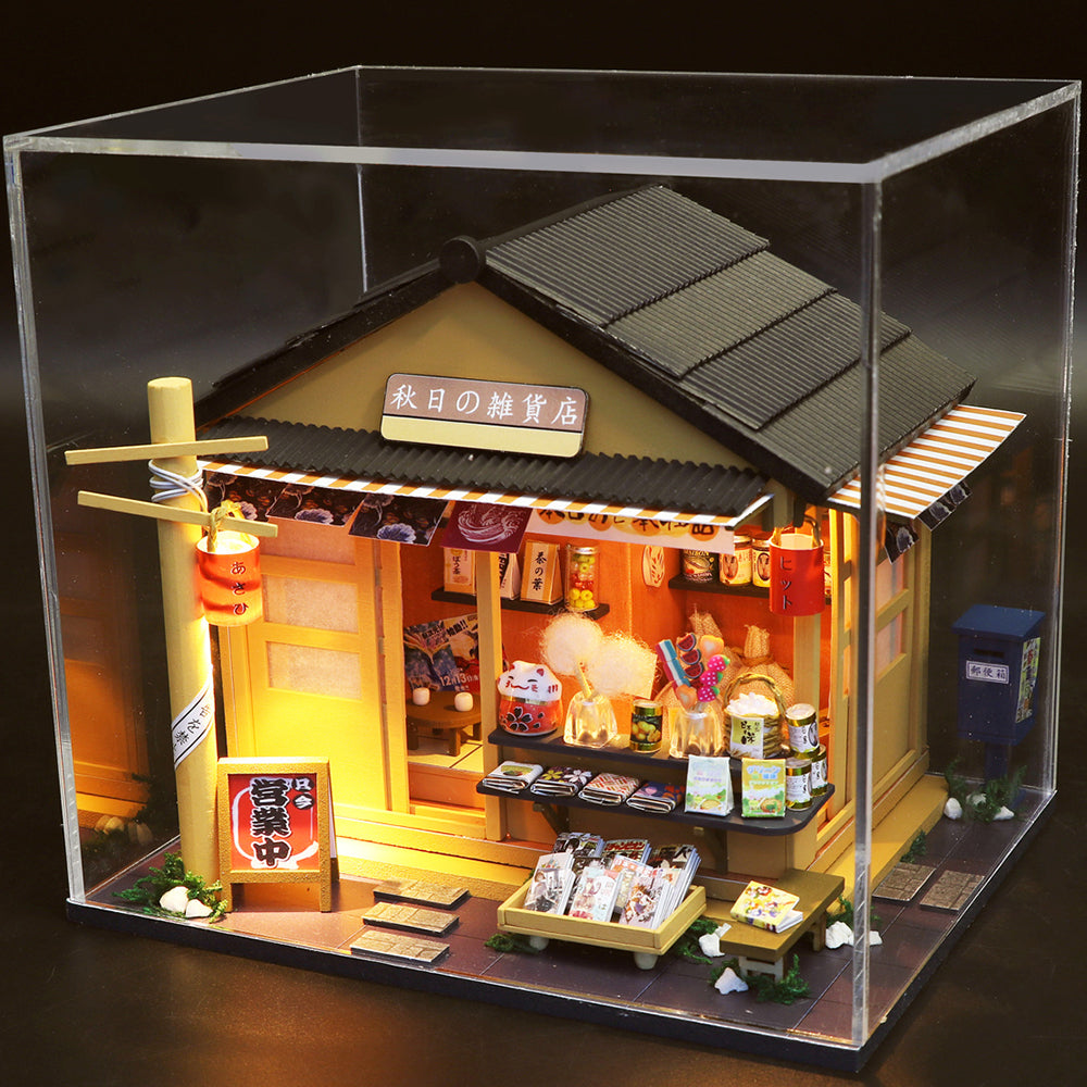 Puzziv 1: 24 DIY Dollhouse Kit (Gocery store)